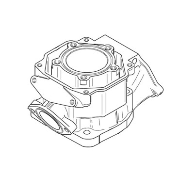 Rotax Cylinder - JUNIOR MAX - PRE 2024