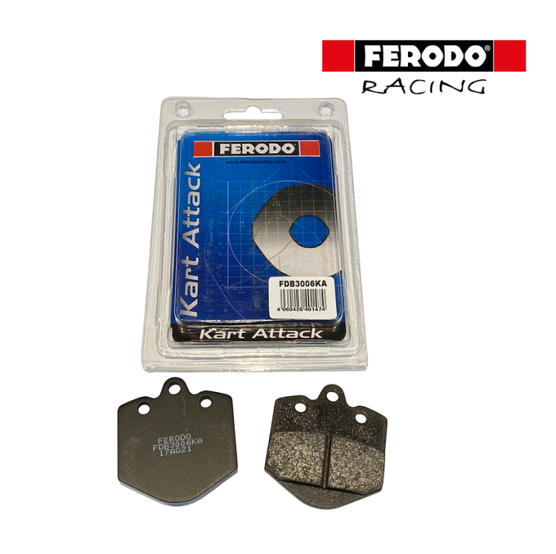 FERODO Brake Pad Set - BIREL REAR | 